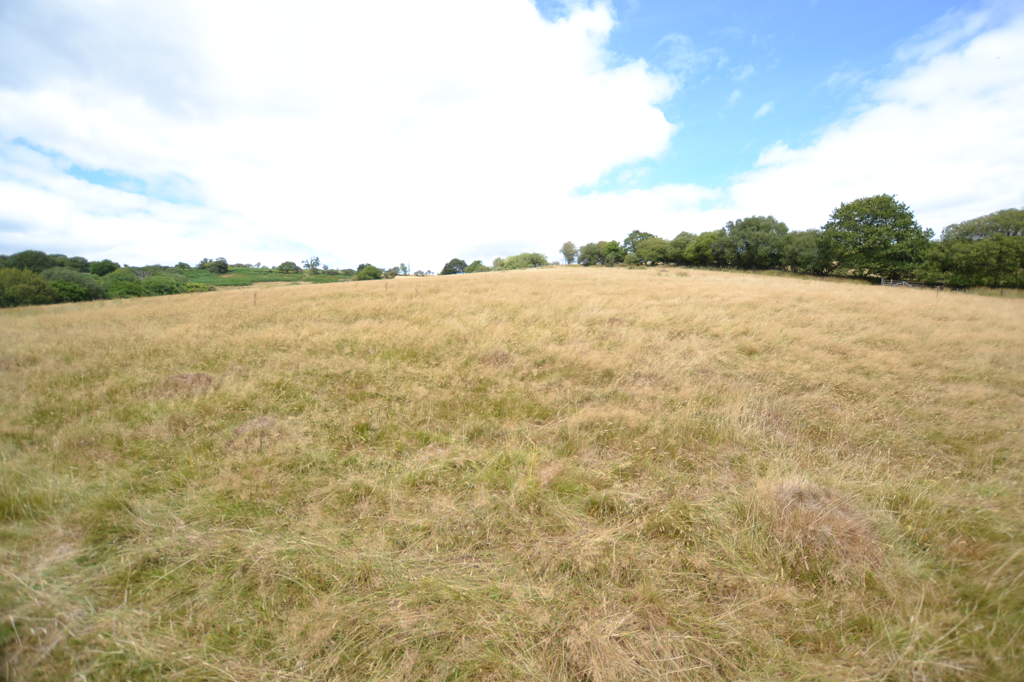 Land for sale, Land at Gelli Goediog, Carmarthenshire, SA19