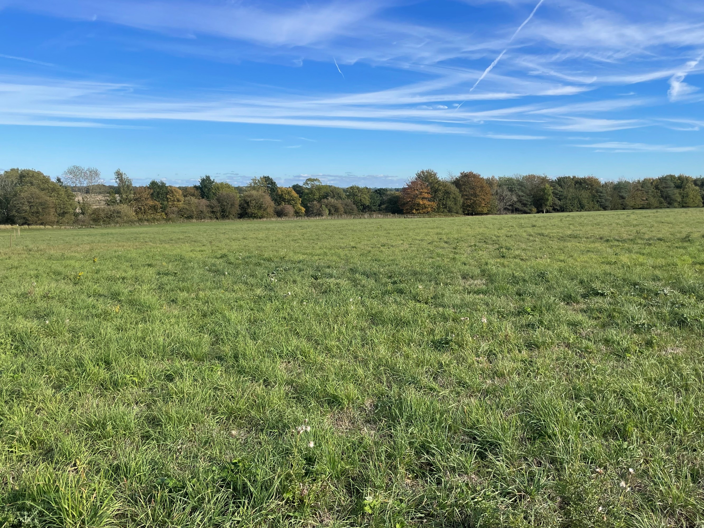 Land for sale, Land at Martin, Lincoln, LN4