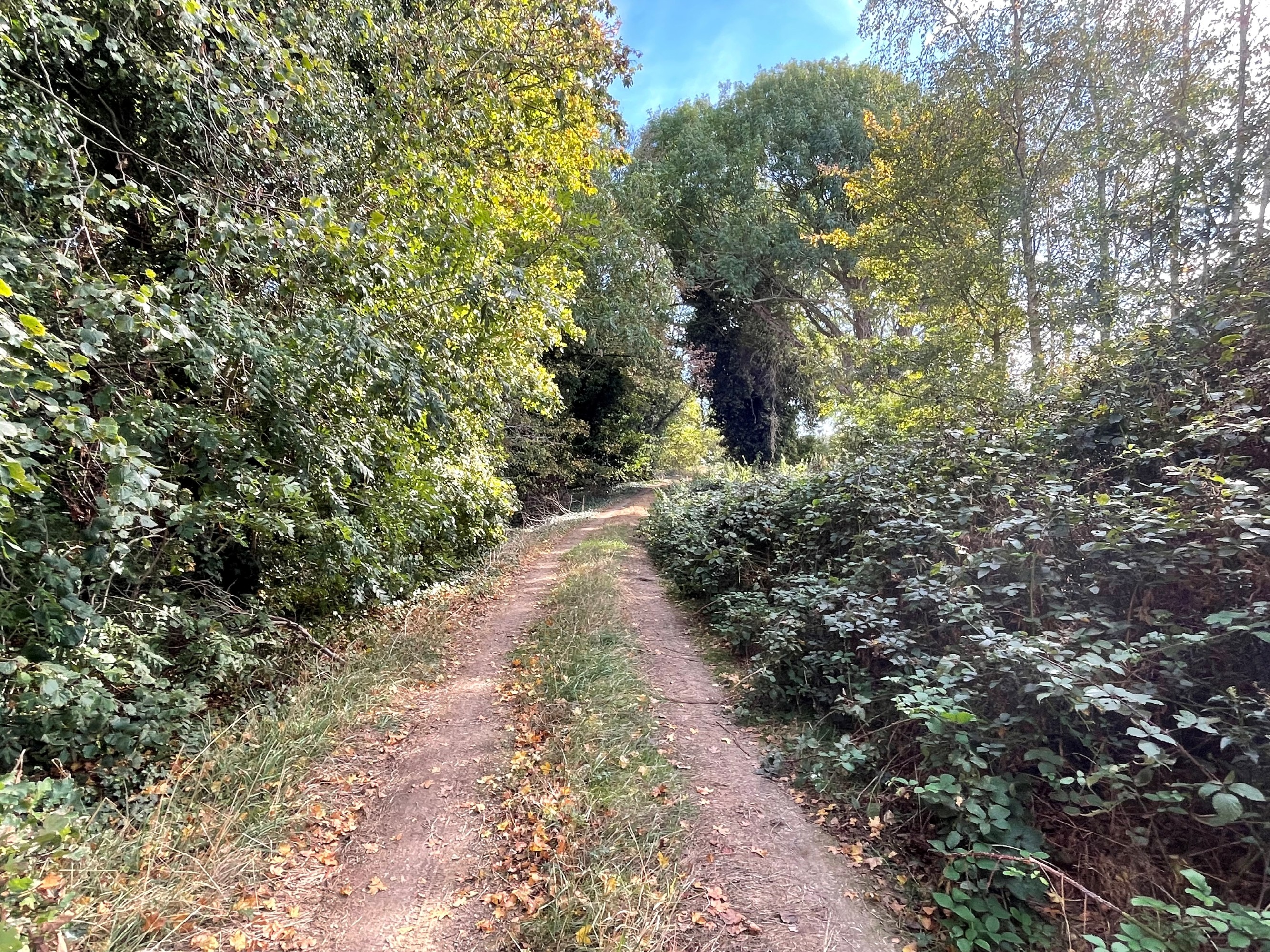 Land for sale, Land at Martin, Lincoln, LN4