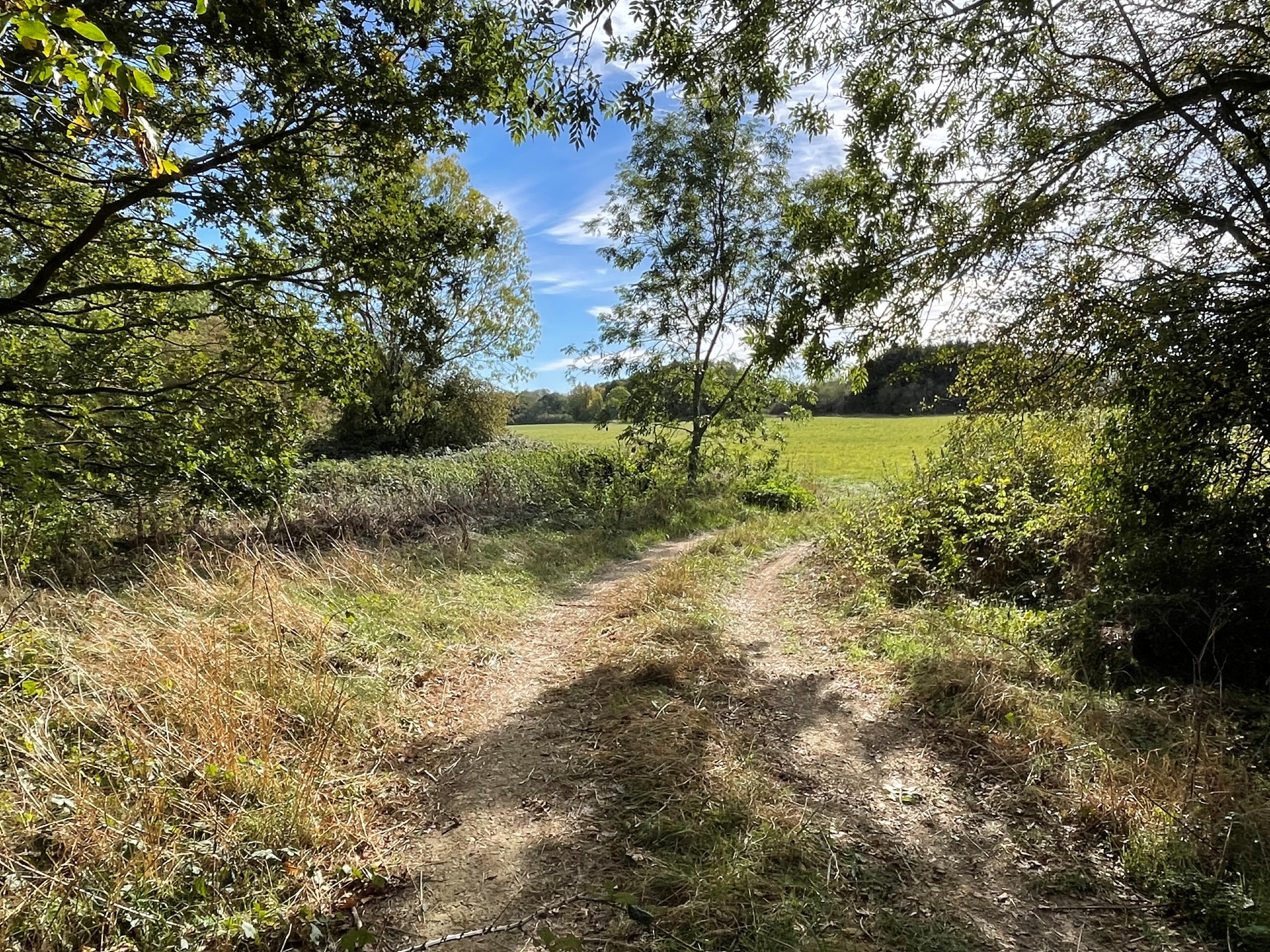 Land for sale, Land at Martin, Lincoln, LN4