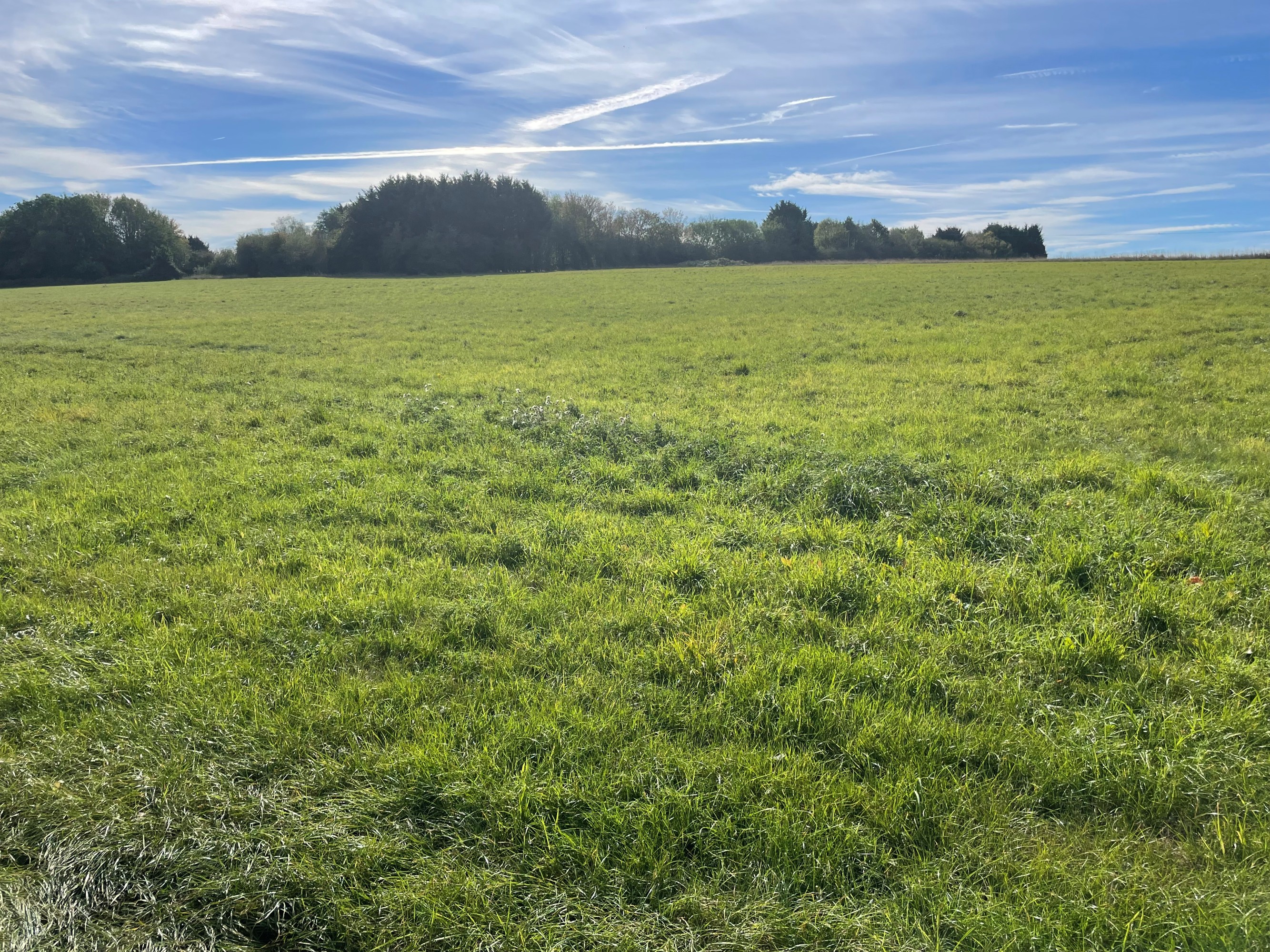 Land for sale, Land at Martin, Lincoln, LN4