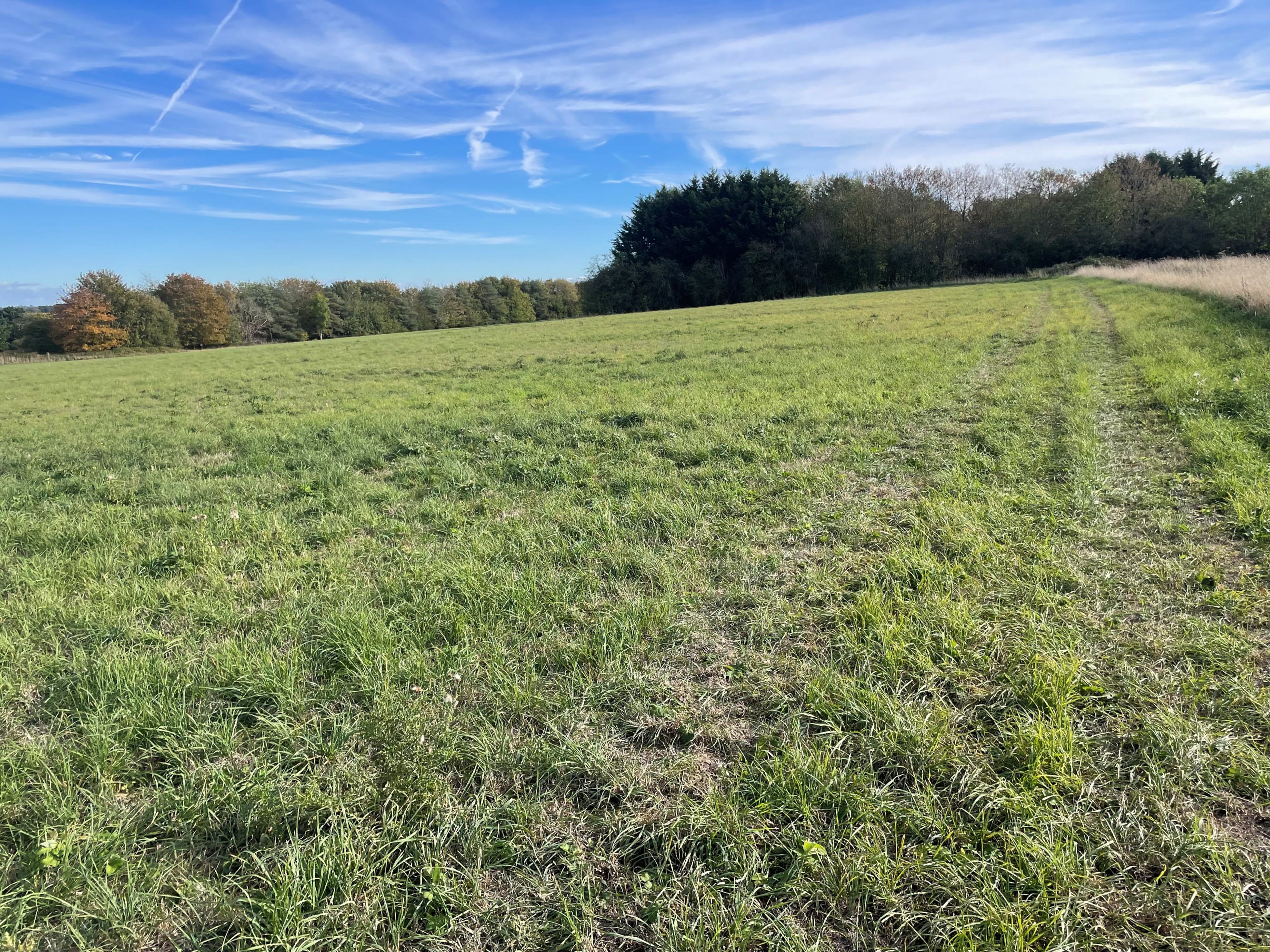 Land for sale, Land at Martin, Lincoln, LN4