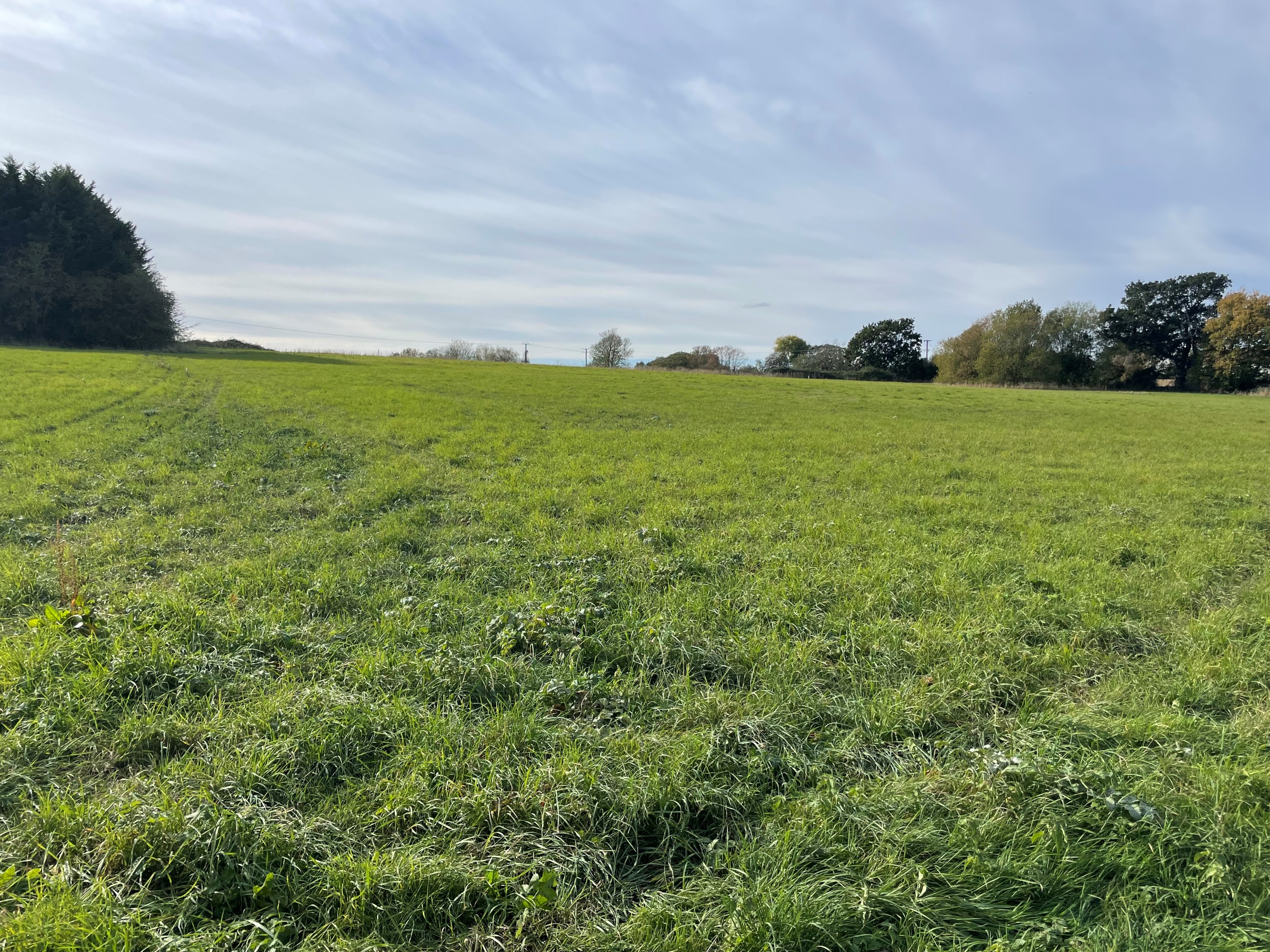 Land for sale, Land at Martin, Lincoln, LN4