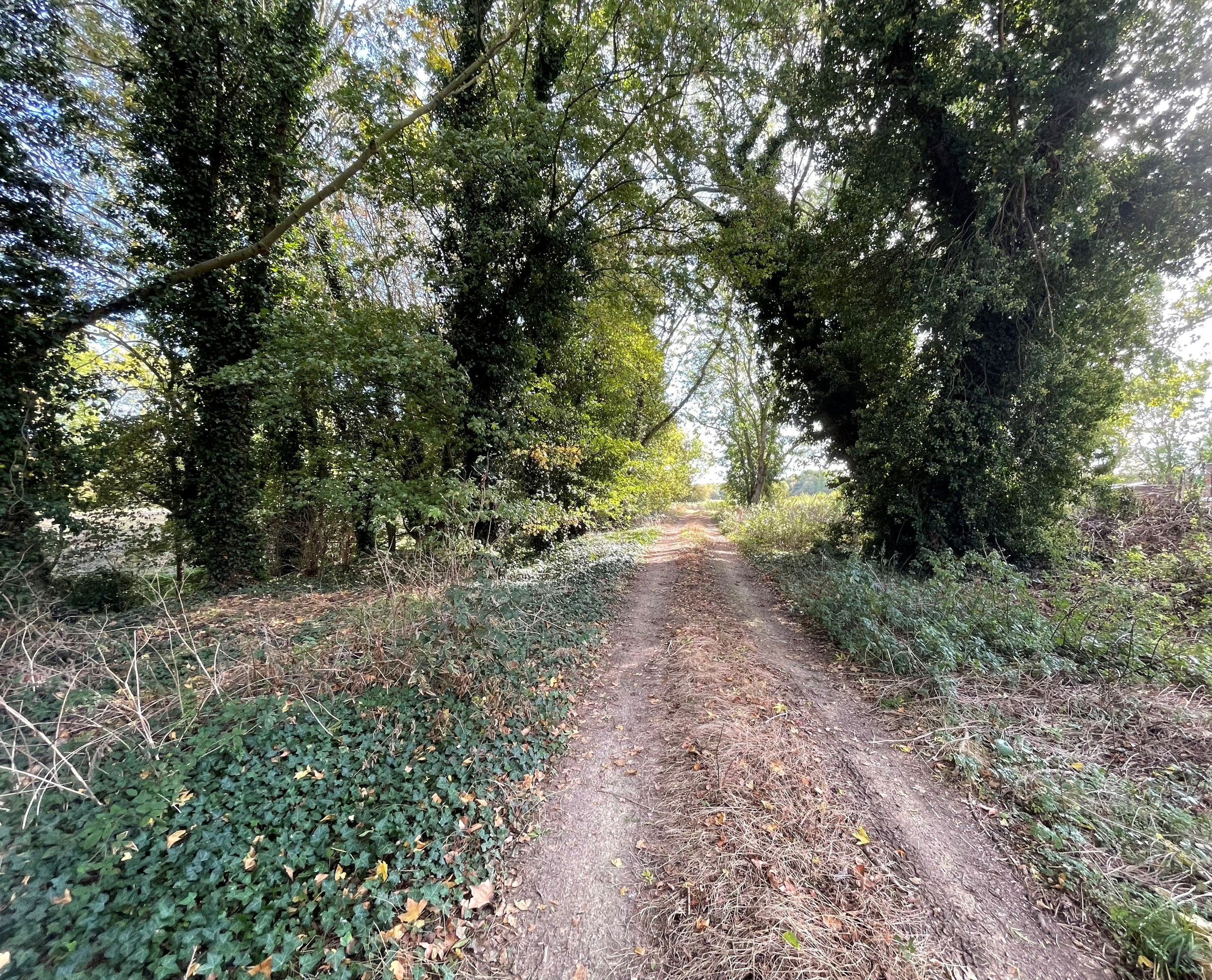 Land for sale, Land at Martin, Lincoln, LN4