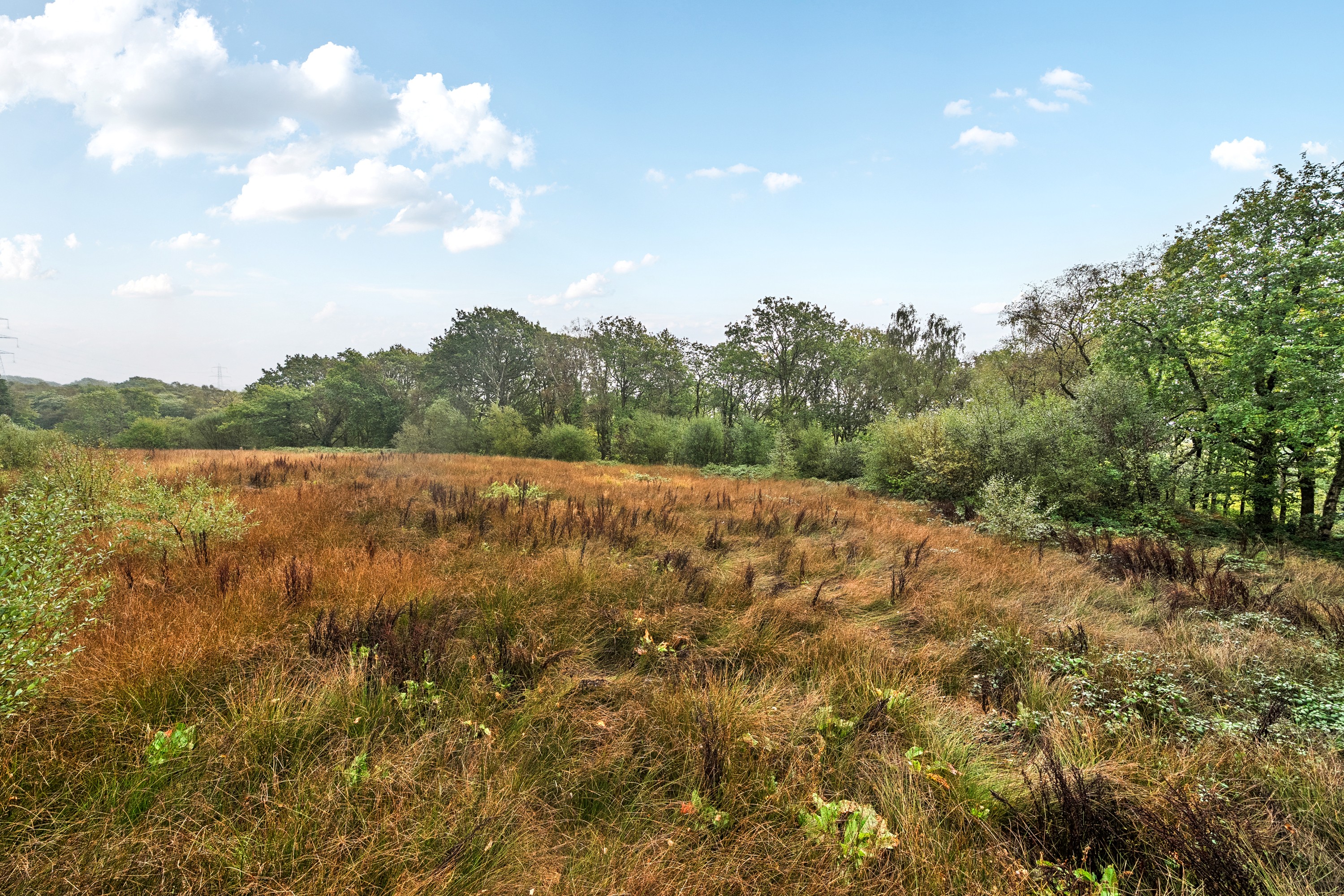 Land for sale, Stables at Croesbychan Road, Aberdare, CF44