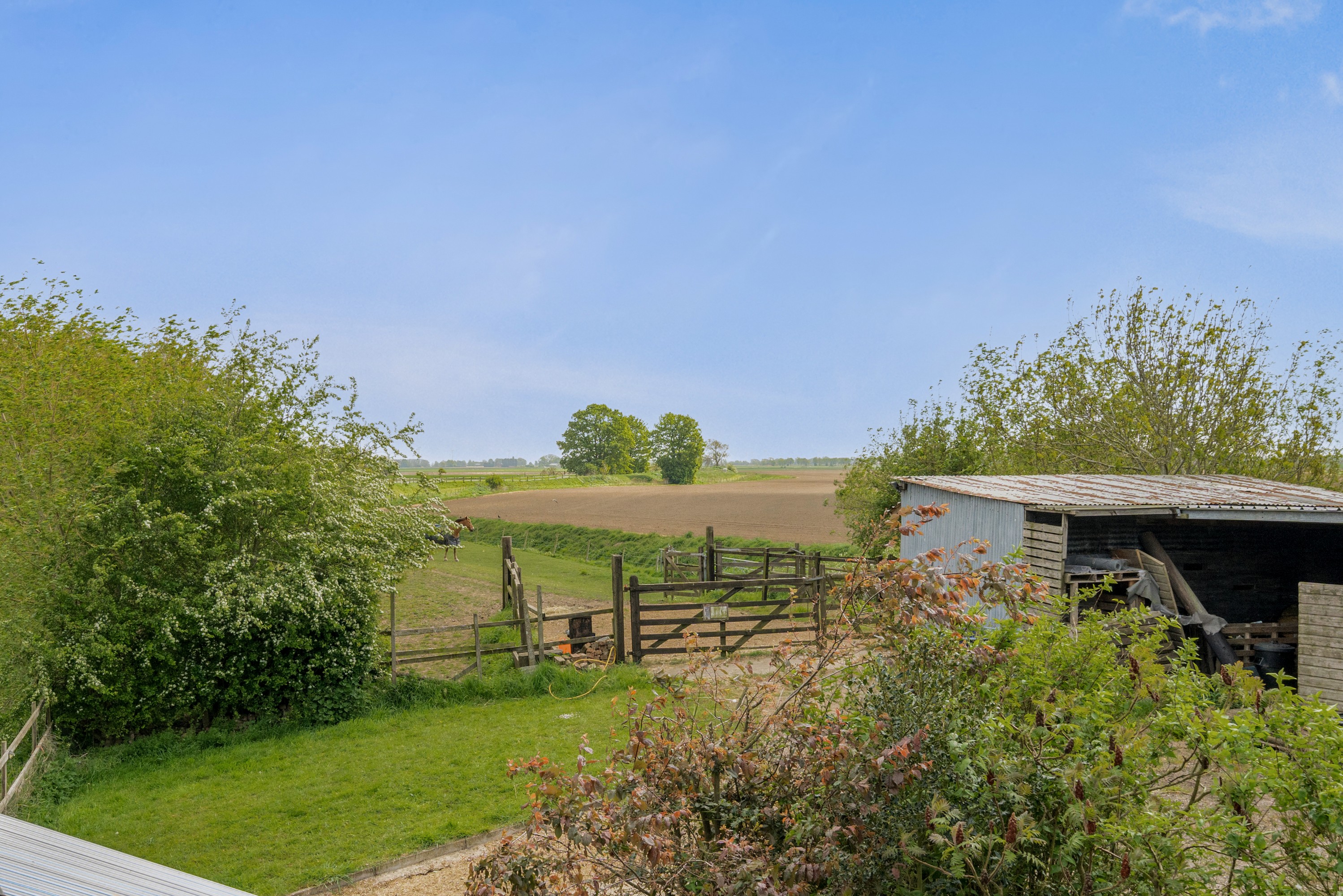 3 bedroom detached bungalow for sale, Spinney Lodge Dowsdale Bank, Peterborough, PE6