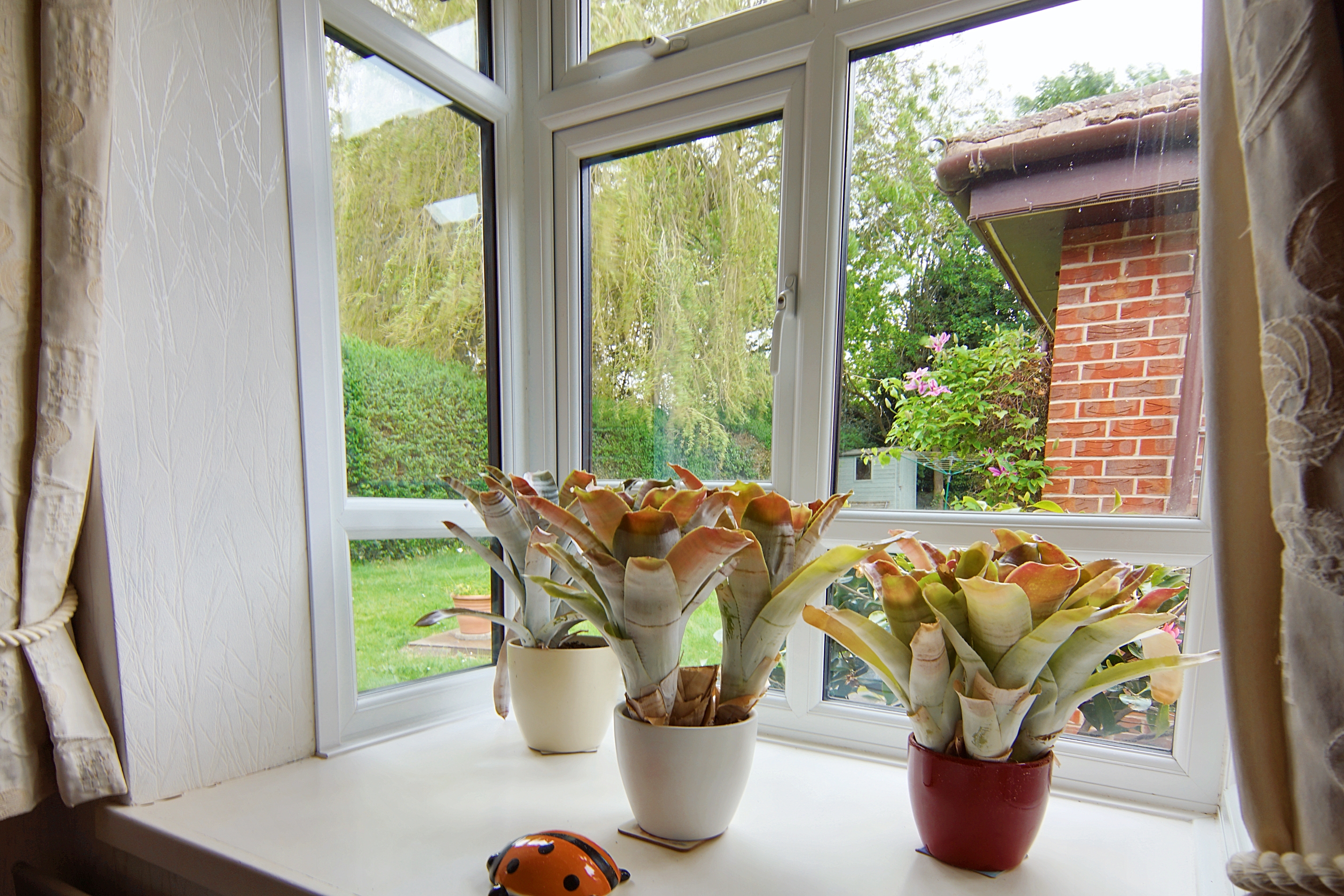2 bedroom terraced bungalow for sale, Winterdene, Coventry, CV7, photo 8 of 17