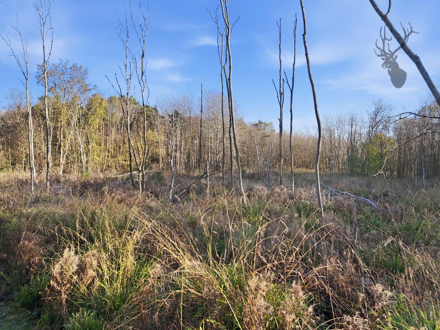 Land (commercial) for sale, Land At, Hertford, SG13, photo 11 of 15