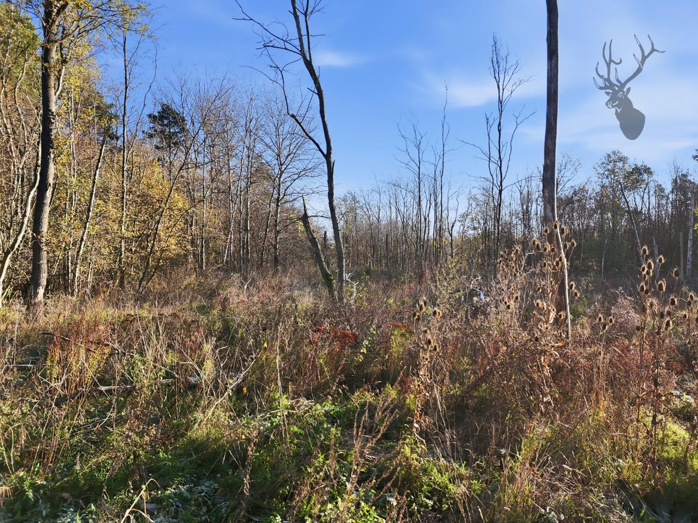 Land (commercial) for sale, Land At, Hertford, SG13, photo 13 of 15