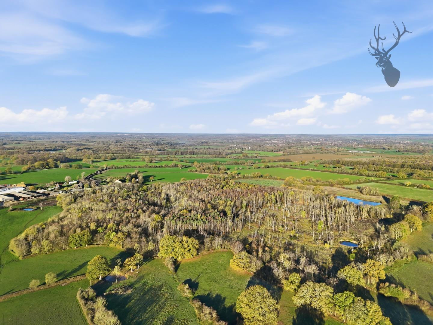 Land (commercial) for sale, Land At, Hertford, SG13, photo 3
