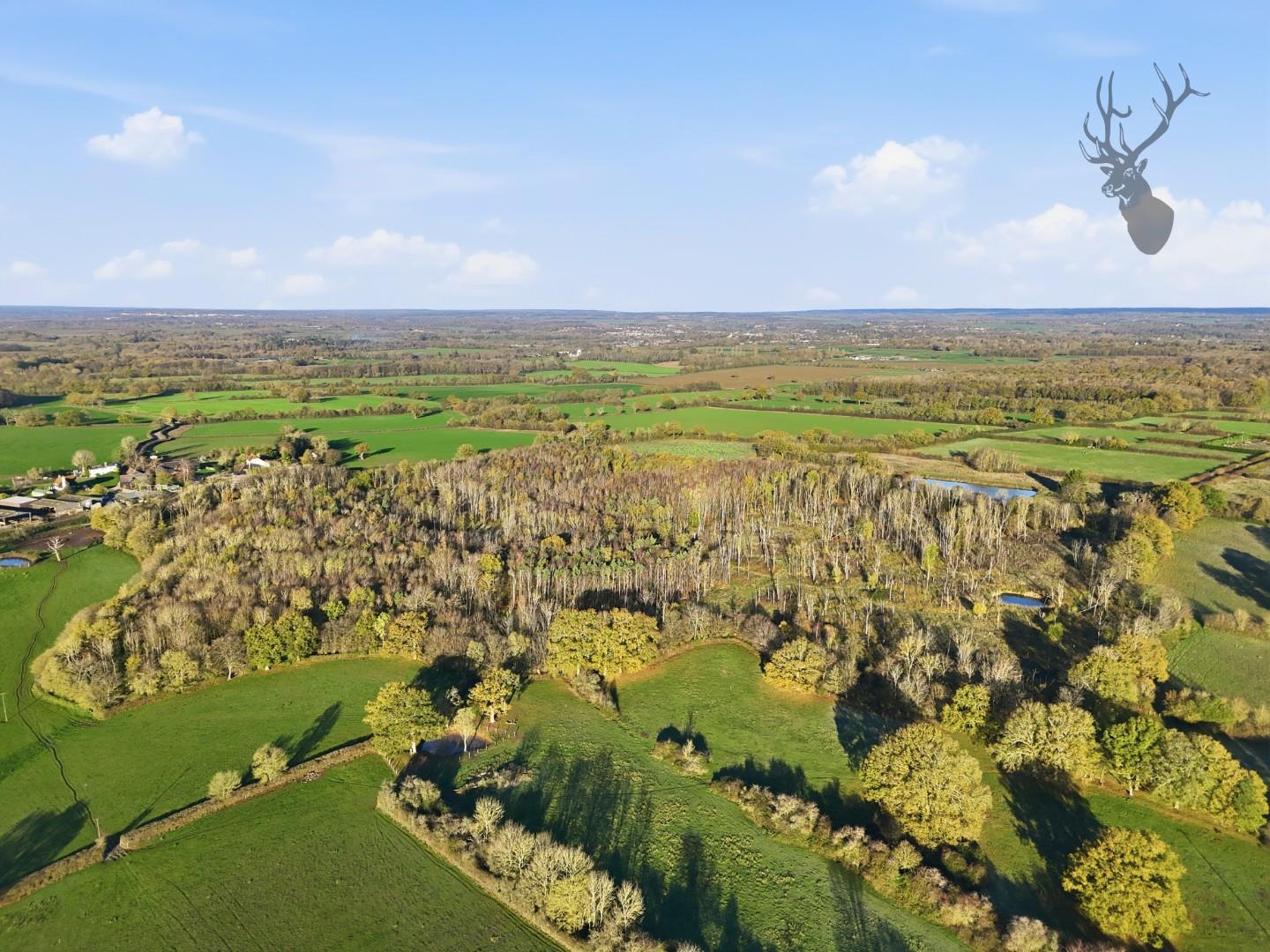 Land (commercial) for sale, Land At, Hertford, SG13, photo 4