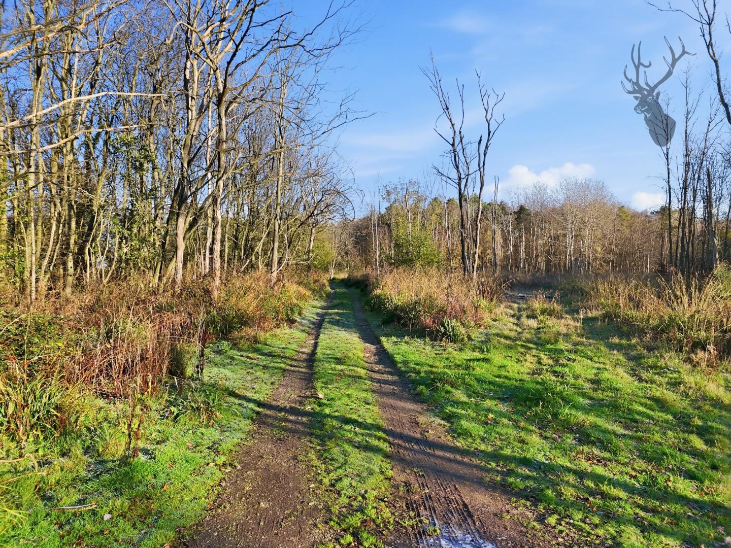 Land (commercial) for sale, Land At, Hertford, SG13, photo 5
