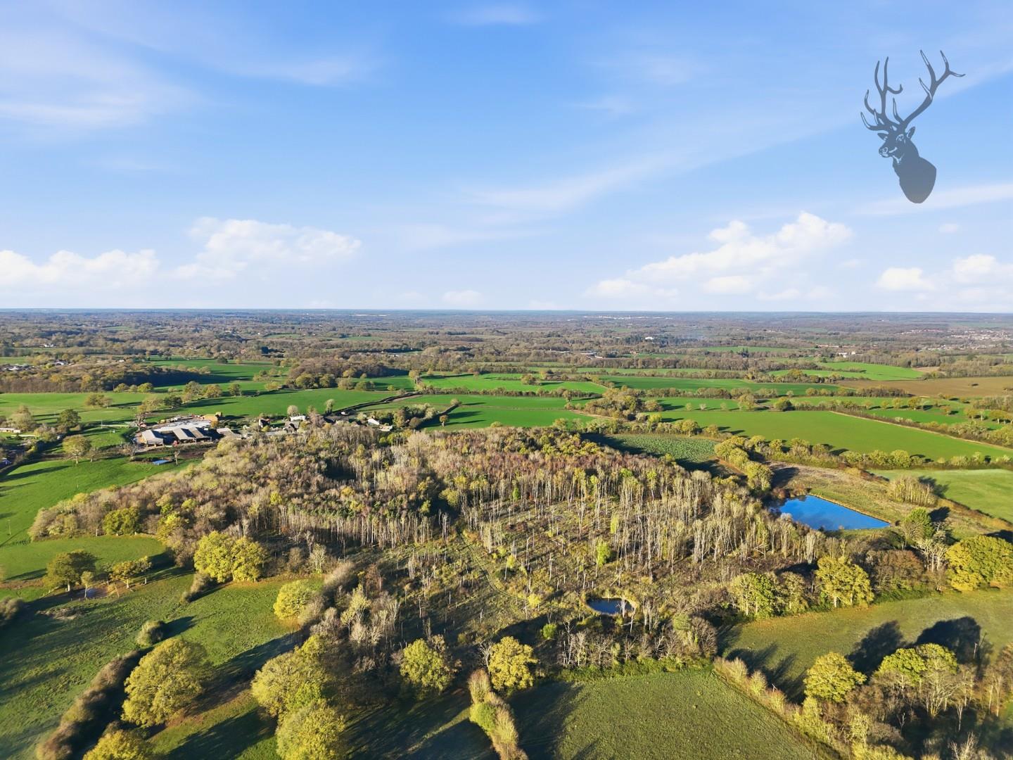 Land (commercial) for sale, Land At, Hertford, SG13, photo 6 of 15