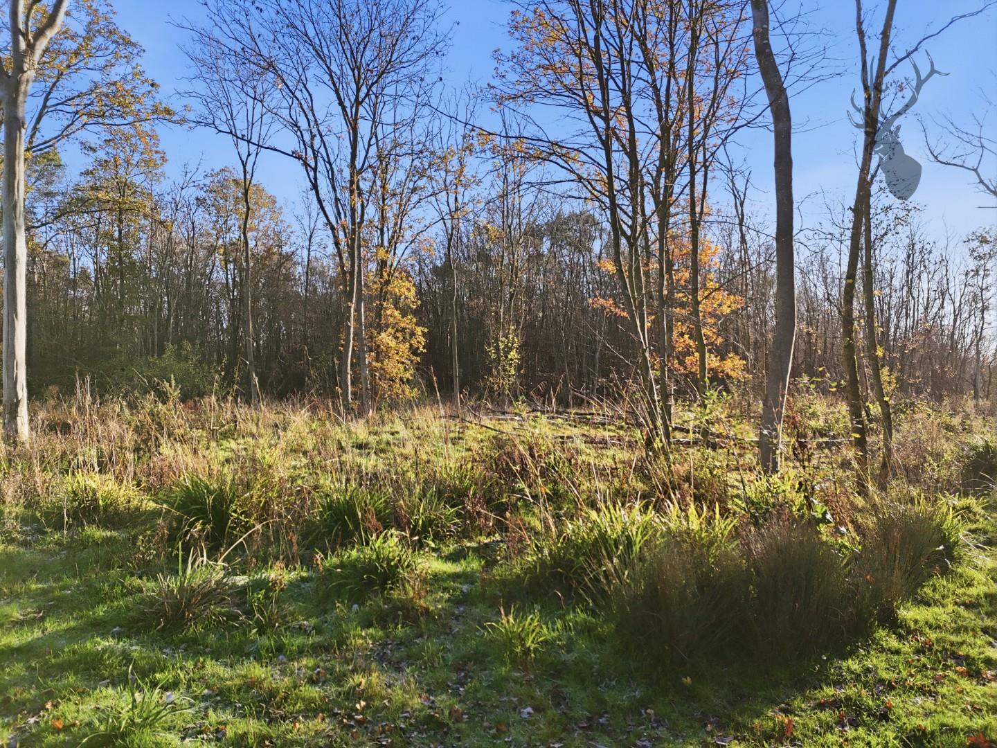 Land (commercial) for sale, Land At, Hertford, SG13, photo 8 of 15