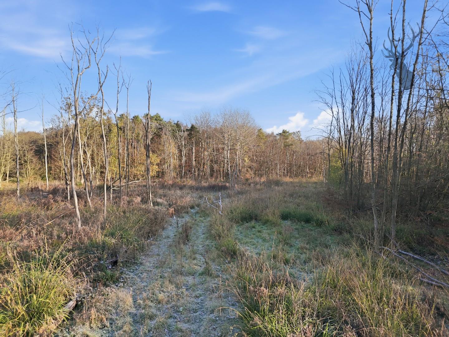 Land (commercial) for sale, Land At, Hertford, SG13, photo 9 of 15