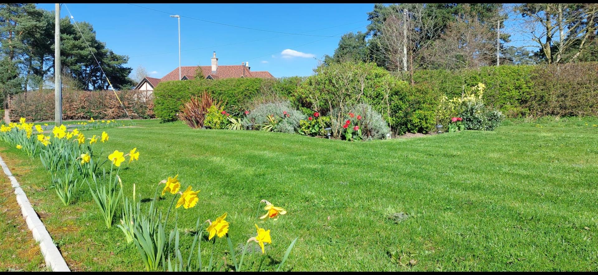 4 bedroom house for sale, Yew Crescent, Congleton, CW12, photo 7 of 20