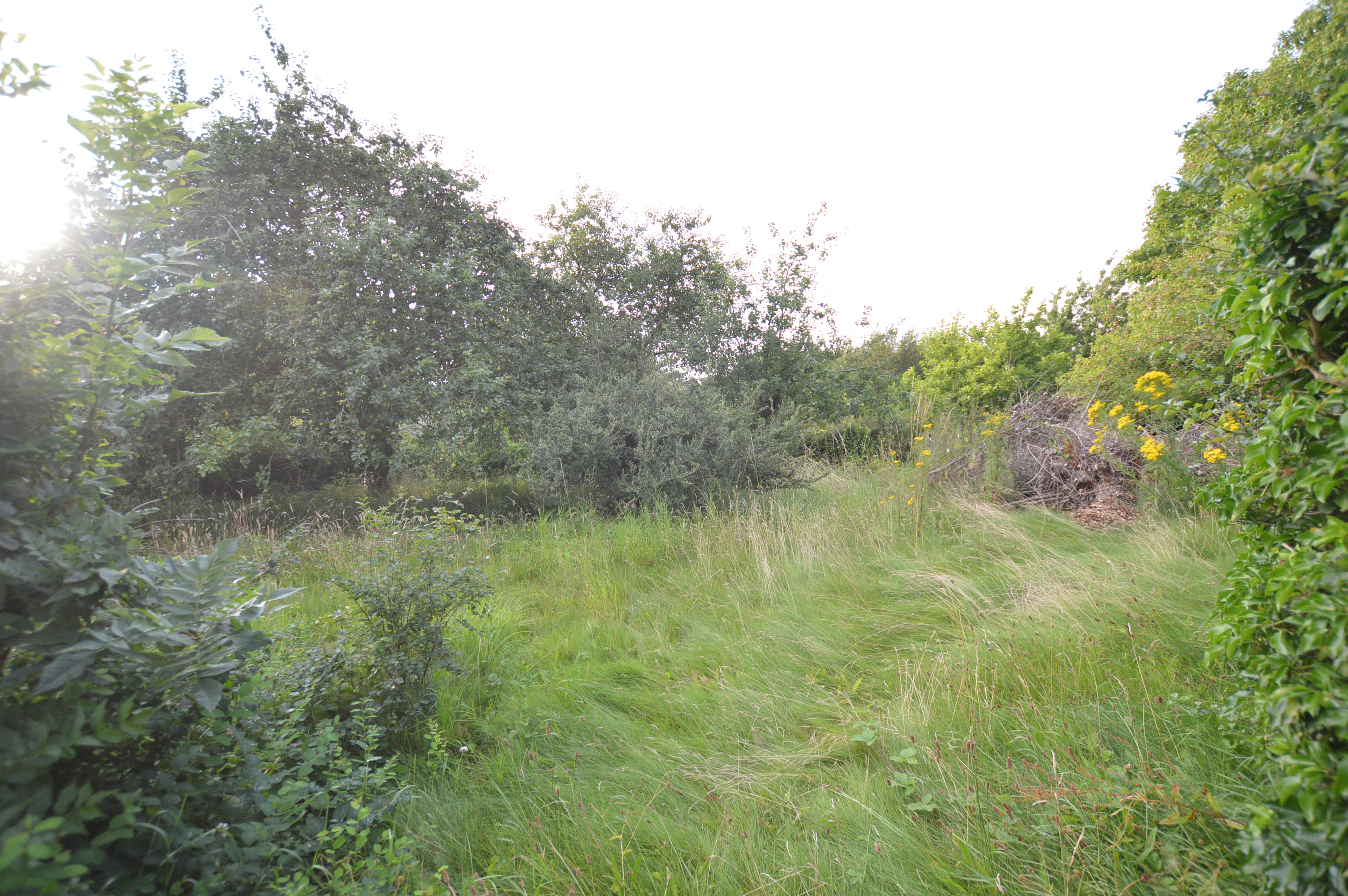 3 bedroom plot for sale, Building Plot North of School Lane, Croxton Kerrial, NG32