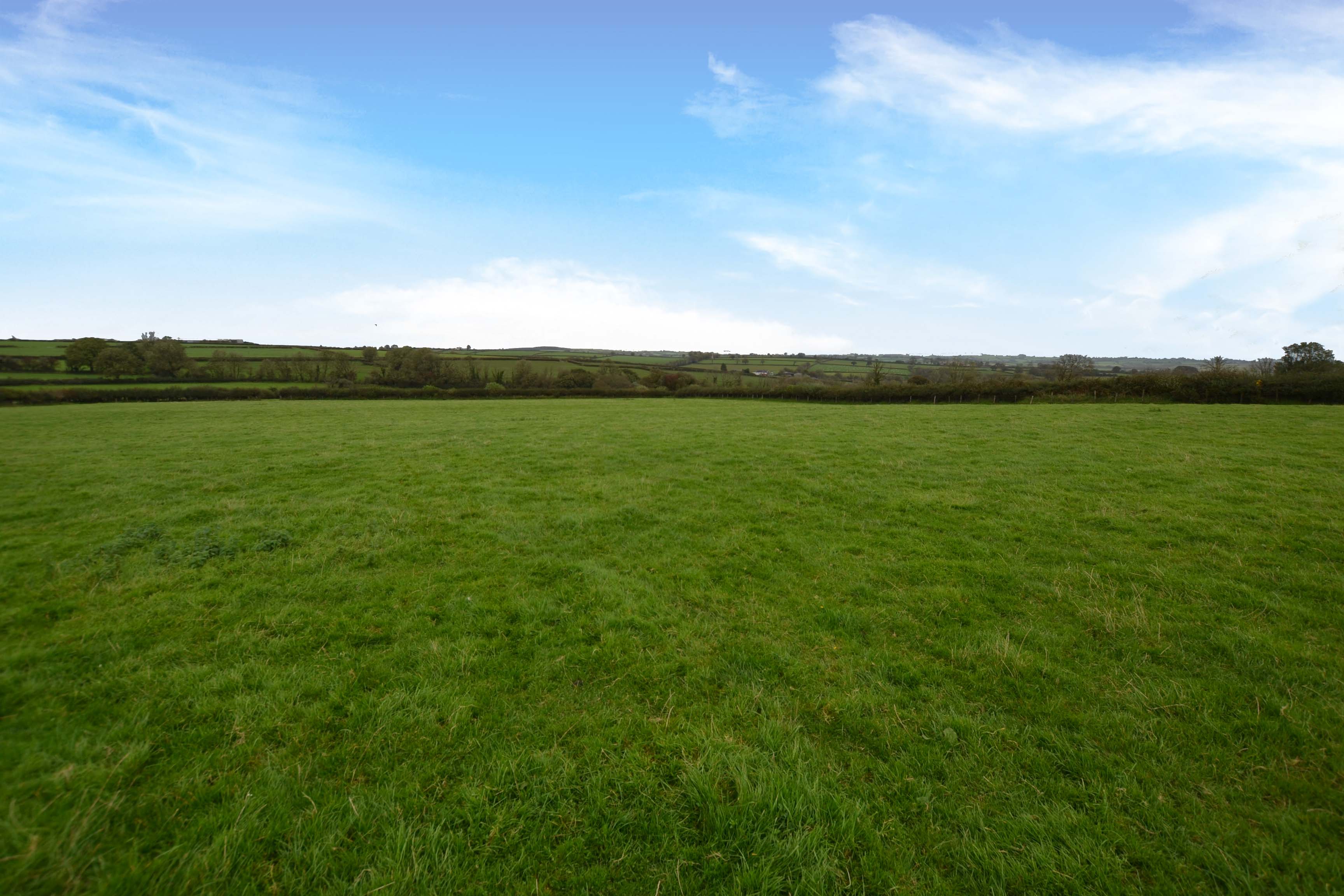 4 bedroom detached bungalow for sale, Blaenwaun Farm, Whitland, SA34