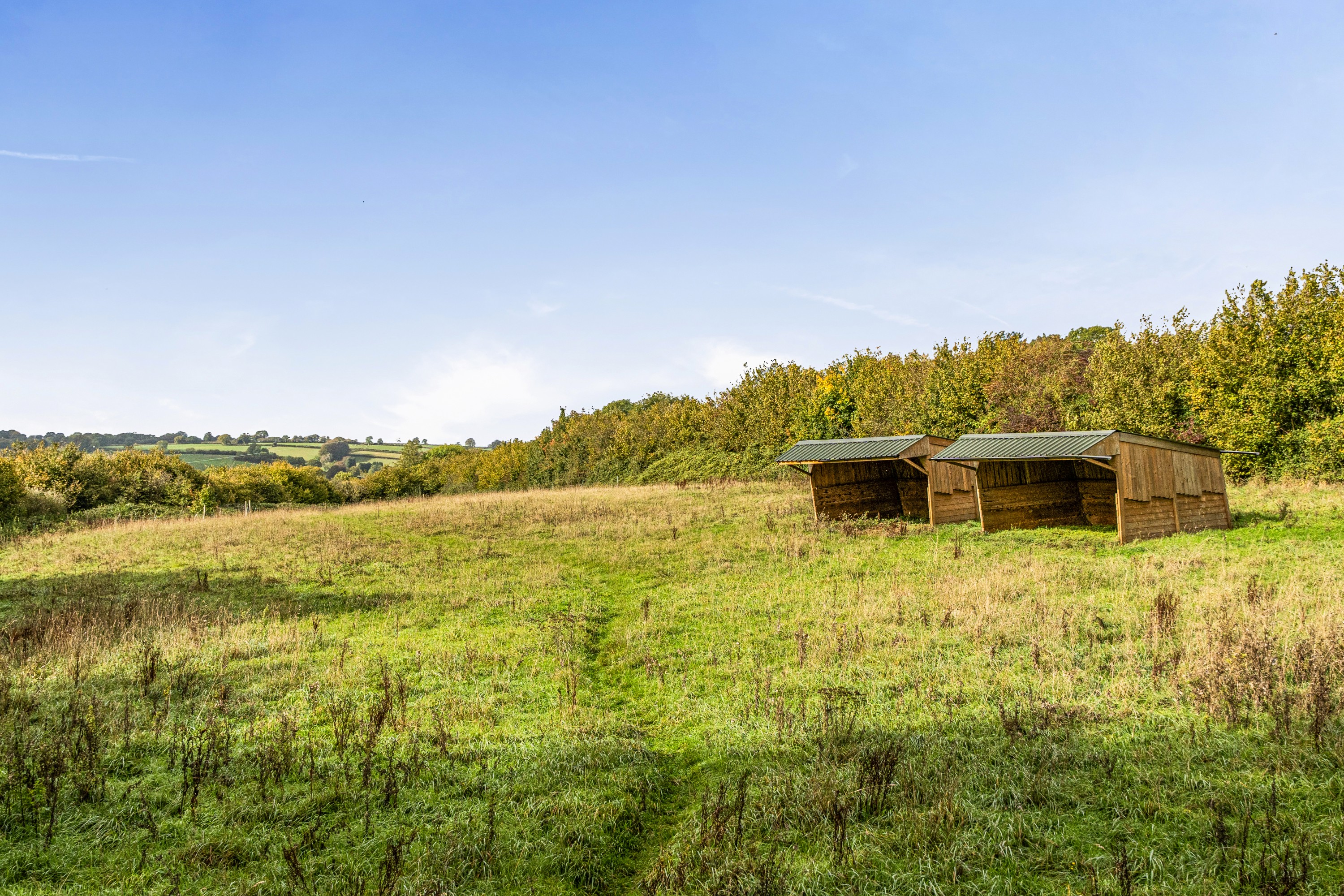 5 bedroom detached bungalow for sale, Hengrove Lodge Clayhanger Lane, Chard, TA20