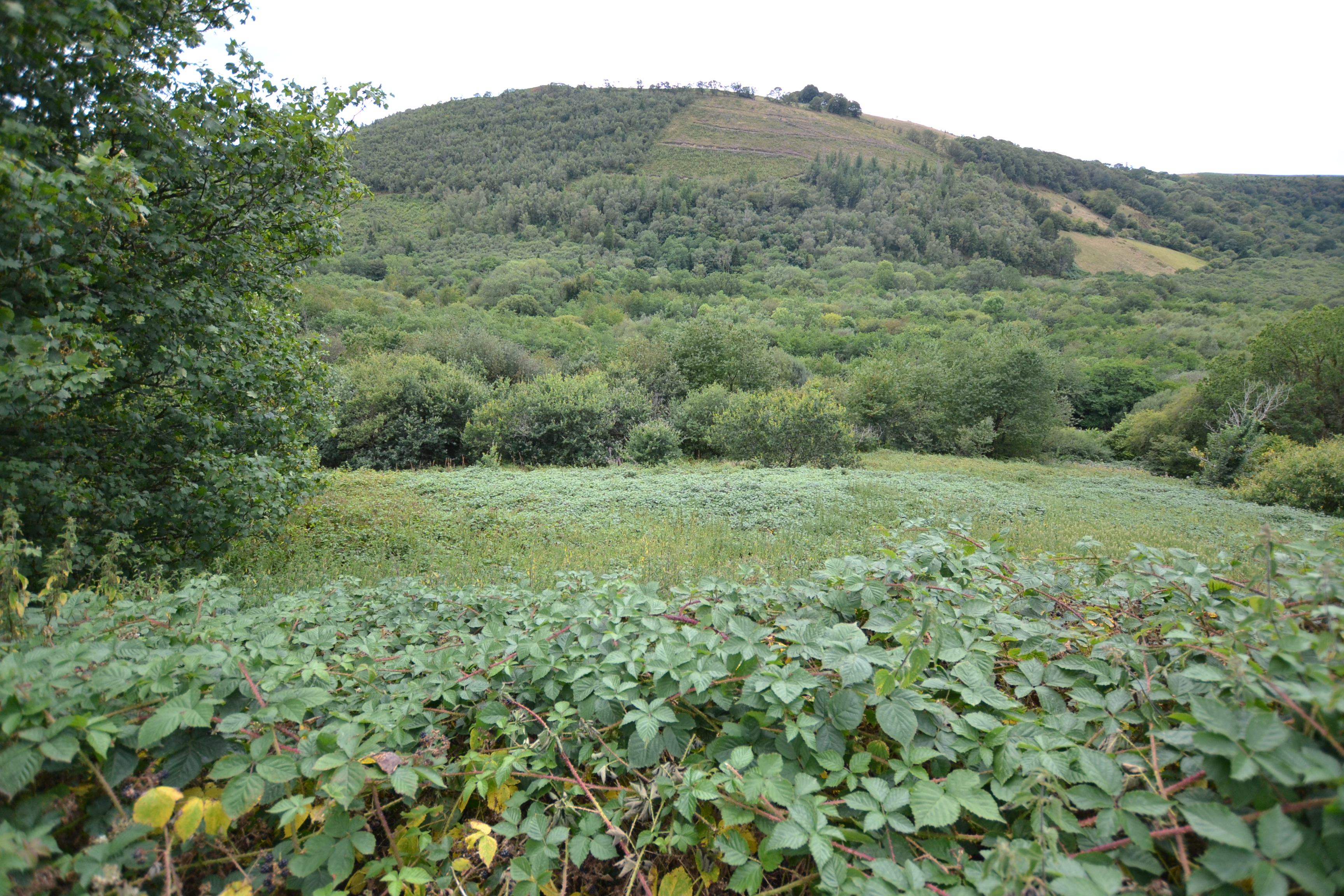 Barn for sale, Barn at Gelli Goediog, Carmarthenshire, SA19