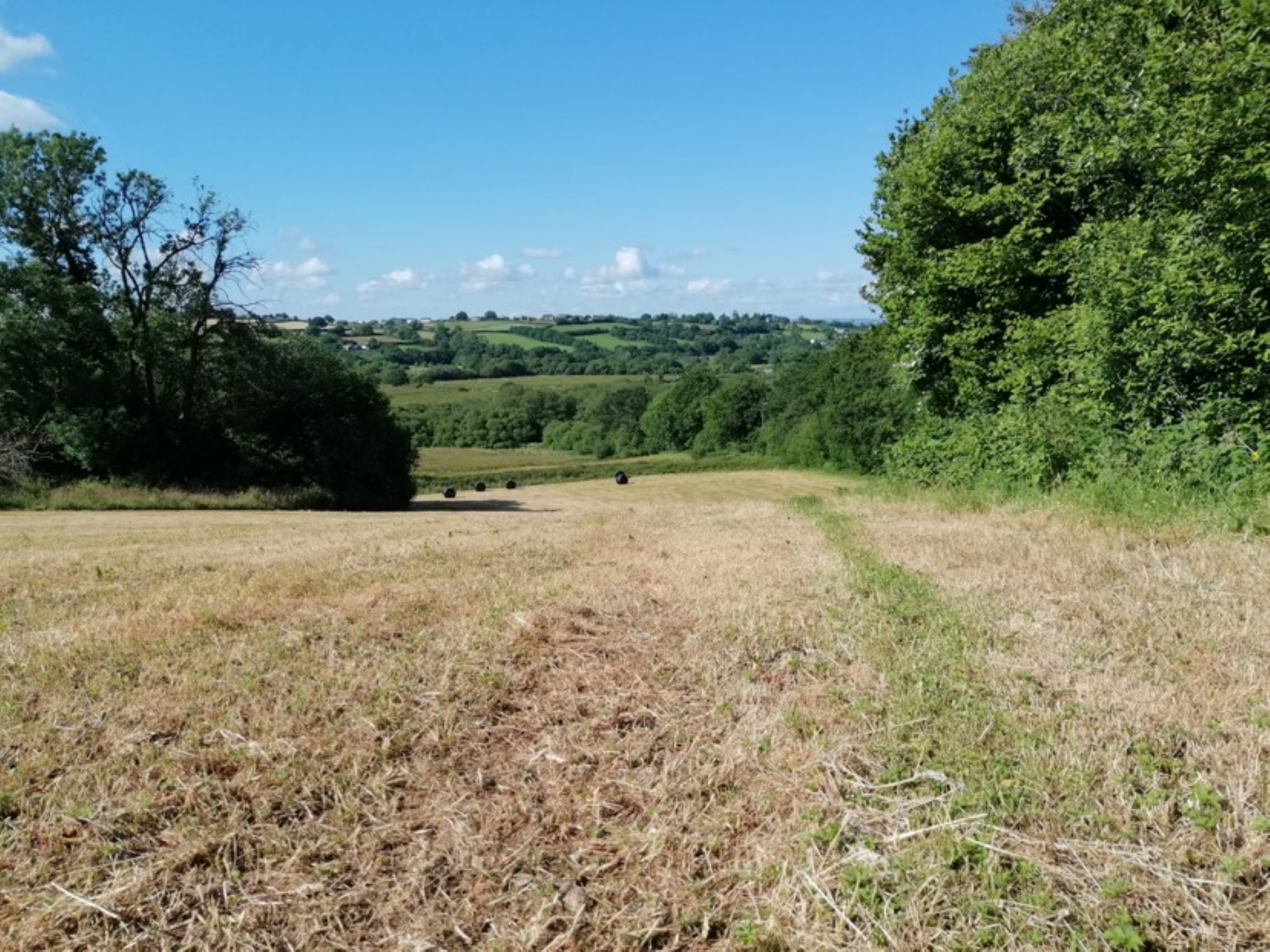 Detached cottage for sale, Calon-Yr-Ynys, Carmarthen, SA32