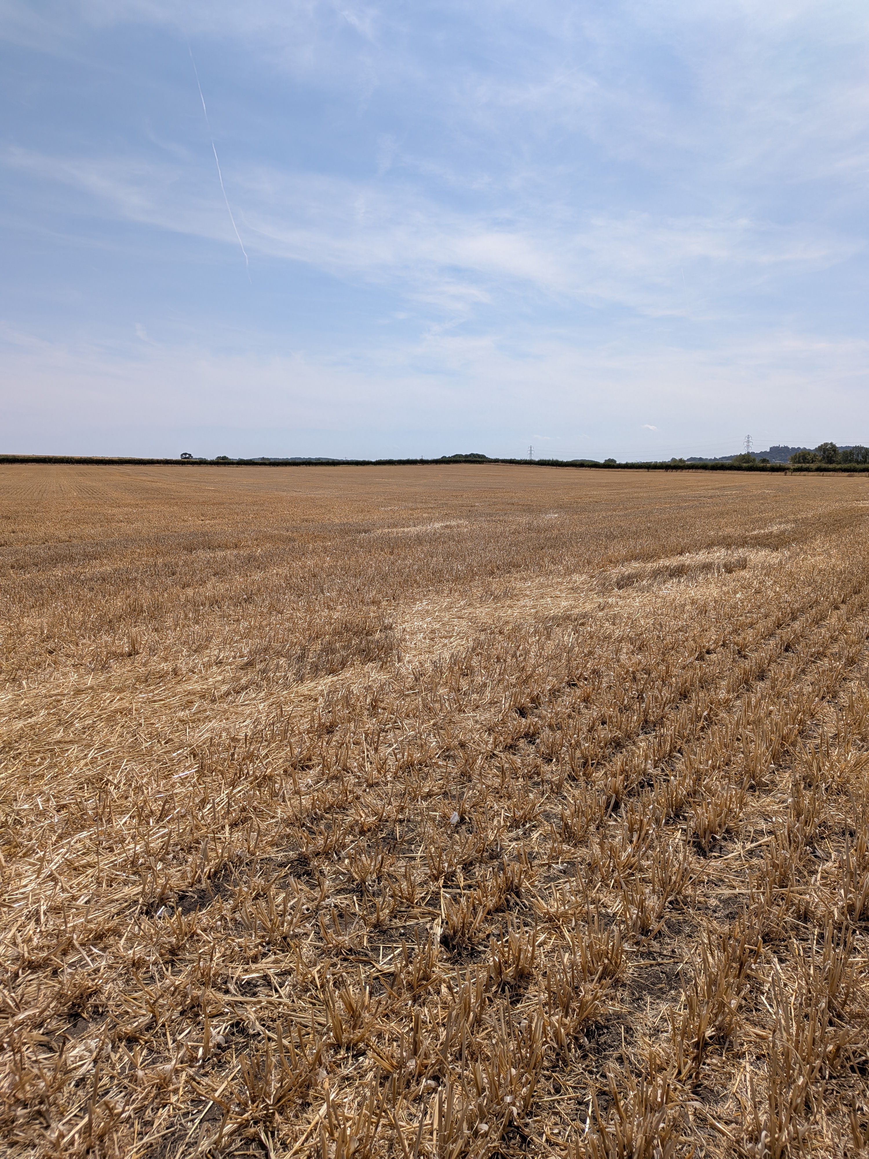 Farm land for sale, Land on the East side of, Nottinghamshire, NG13