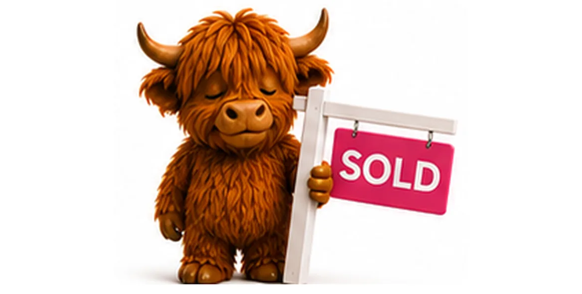 Memorandum of Sale in an Auction Sale: What's Different